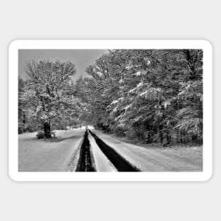 Southern Illinois Winter Scene 7_ Dec 2012 Sticker